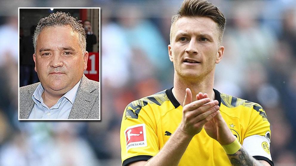 转会市场的 转会市场的